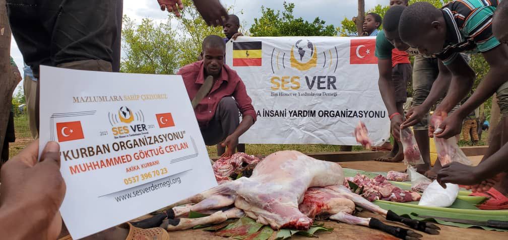 Rabbin için Kurban Kes